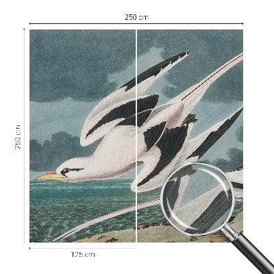 Samolepiaca tapeta Vtáky pri mori