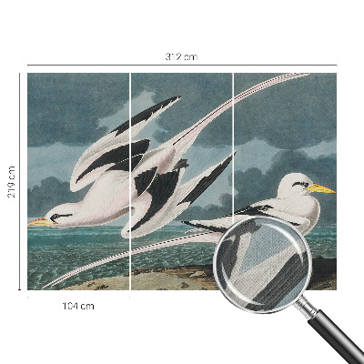 Samolepiaca tapeta Vtáky pri mori