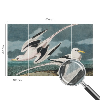 Samolepiaca tapeta Vtáky pri mori