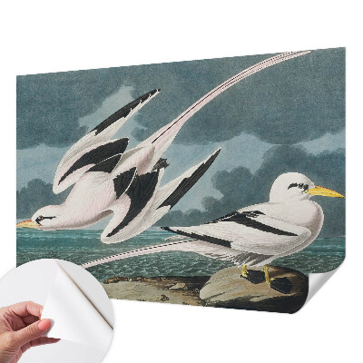 Samolepiaca tapeta Vtáky pri mori