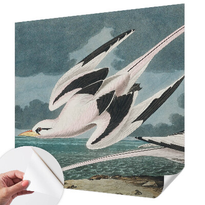 Samolepiaca tapeta Vtáky pri mori