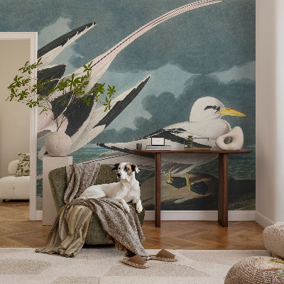 Samolepiaca tapeta Vtáky pri mori
