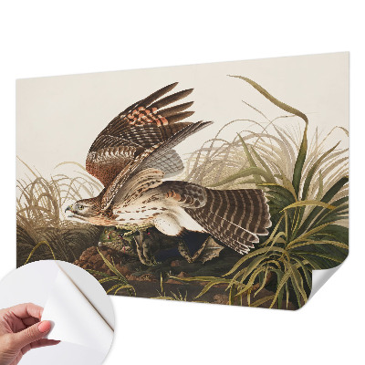 Tapety na stenu samolepiace Okrídlená kráska