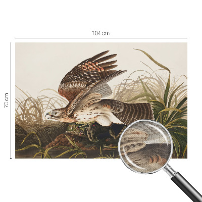 Tapety na stenu samolepiace Okrídlená kráska