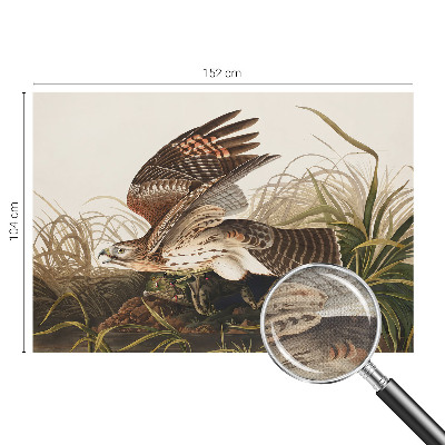 Tapety na stenu samolepiace Okrídlená kráska