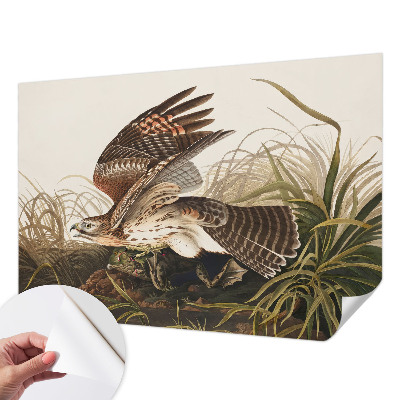 Tapety na stenu samolepiace Okrídlená kráska