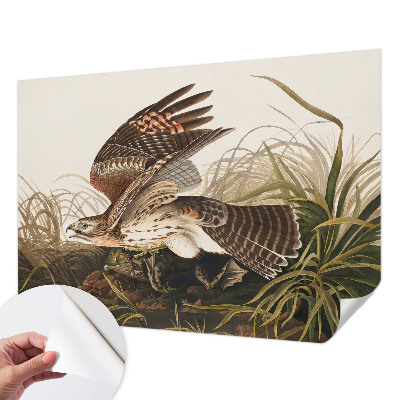 Tapety na stenu samolepiace Okrídlená kráska