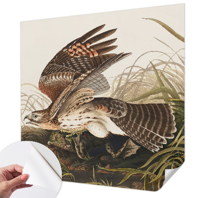 Tapety na stenu samolepiace Okrídlená kráska