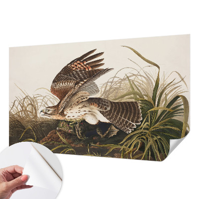 Tapety na stenu samolepiace Okrídlená kráska