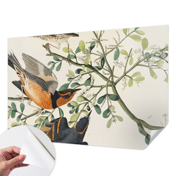 Samolepiaca fototapeta do spálne Farebné vtáky