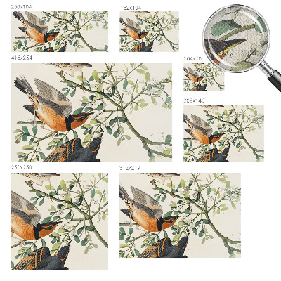 Samolepiaca fototapeta do spálne Farebné vtáky