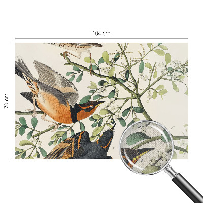 Samolepiaca fototapeta do spálne Farebné vtáky