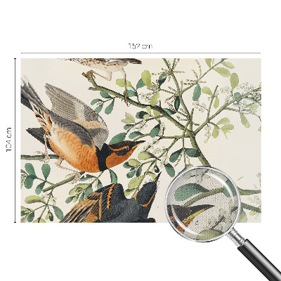 Samolepiaca fototapeta do spálne Farebné vtáky