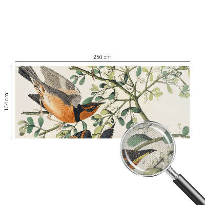 Samolepiaca fototapeta do spálne Farebné vtáky