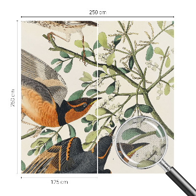 Samolepiaca fototapeta do spálne Farebné vtáky