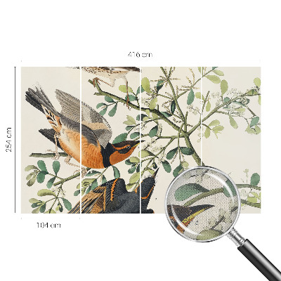 Samolepiaca fototapeta do spálne Farebné vtáky