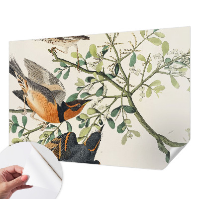 Samolepiaca fototapeta do spálne Farebné vtáky