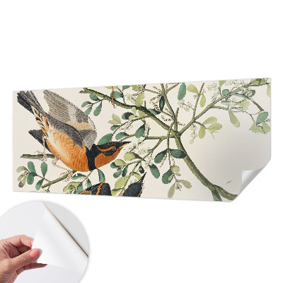 Samolepiaca fototapeta do spálne Farebné vtáky