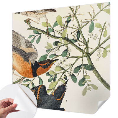 Samolepiaca fototapeta do spálne Farebné vtáky