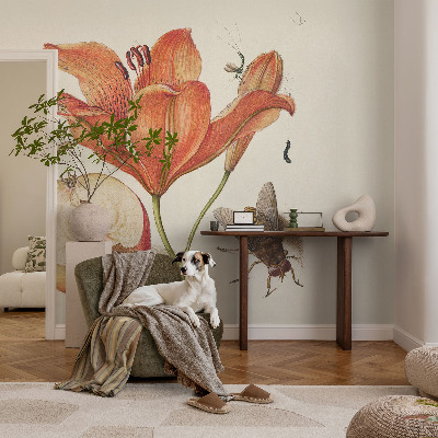 Fototapeta do detskej izby Botanická ilustrácia