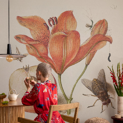 Fototapeta do detskej izby Botanická ilustrácia