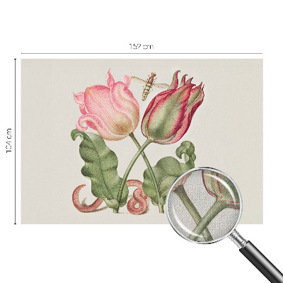 Detská fototapeta Tulipánová krása