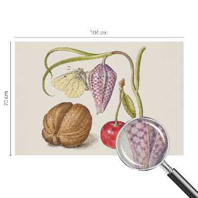 Fotografická tapeta do detskej izby Motýlia rastlina