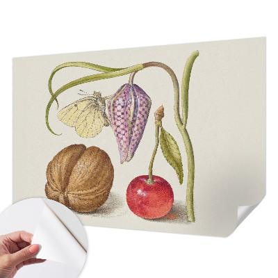 Fotografická tapeta do detskej izby Motýlia rastlina