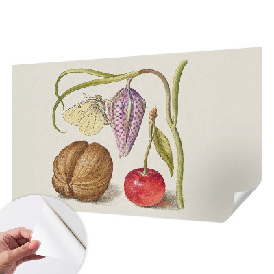 Fotografická tapeta do detskej izby Motýlia rastlina