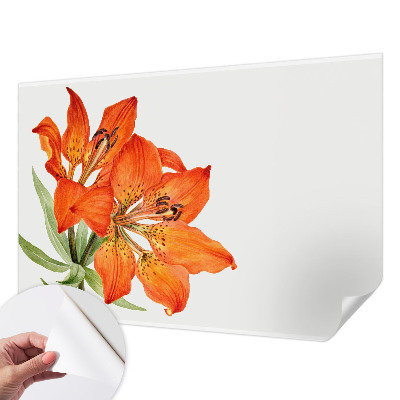 Tapeta do detskej izby Oranžová ľalia