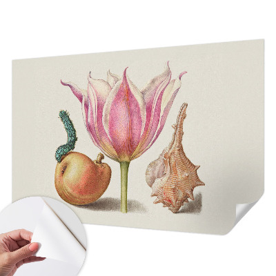 Detská tapeta Prirodzená symbióza