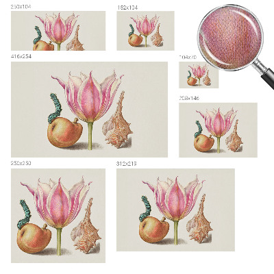 Detská tapeta Prirodzená symbióza