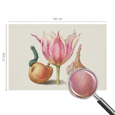 Detská tapeta Prirodzená symbióza