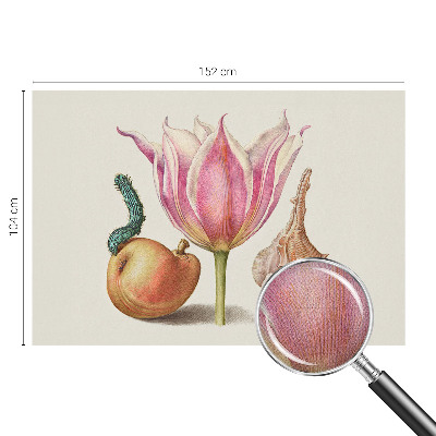 Detská tapeta Prirodzená symbióza