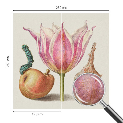 Detská tapeta Prirodzená symbióza