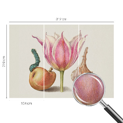 Detská tapeta Prirodzená symbióza