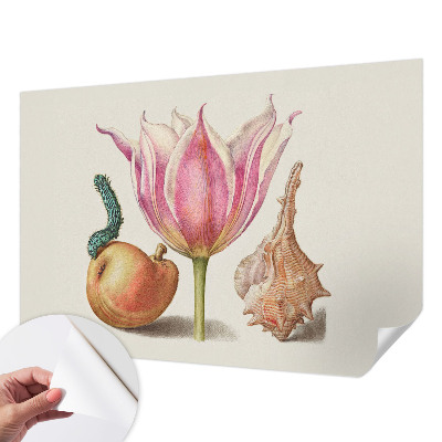 Detská tapeta Prirodzená symbióza