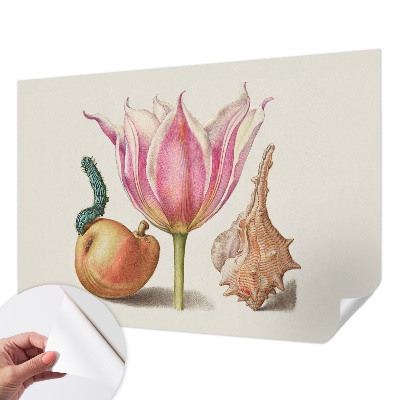 Detská tapeta Prirodzená symbióza