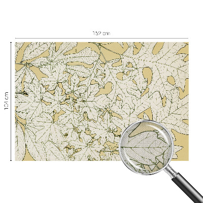 Fototapeta pre chlapca Listy stromov