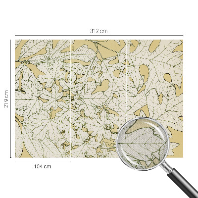 Fototapeta pre chlapca Listy stromov