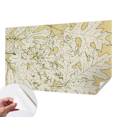 Fototapeta pre chlapca Listy stromov