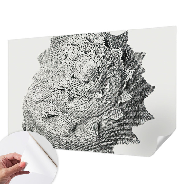 Tapety na stenu samolepiace Umenie prírody