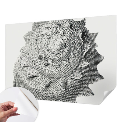 Tapety na stenu samolepiace Umenie prírody