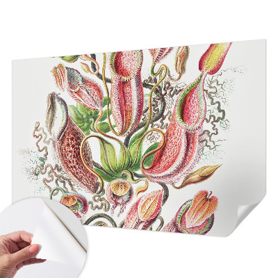 Fotografická tapeta samolepiaca Detaily rastliny