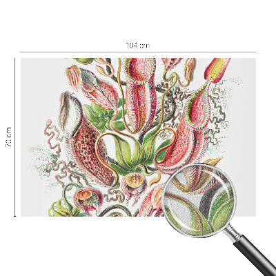 Fotografická tapeta samolepiaca Detaily rastliny