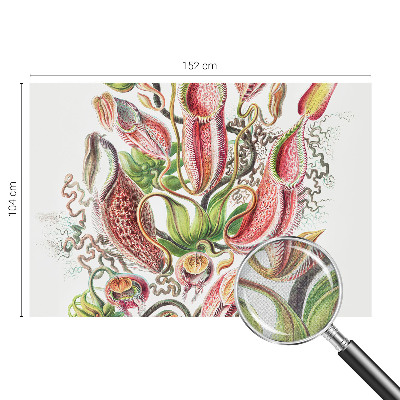 Fotografická tapeta samolepiaca Detaily rastliny