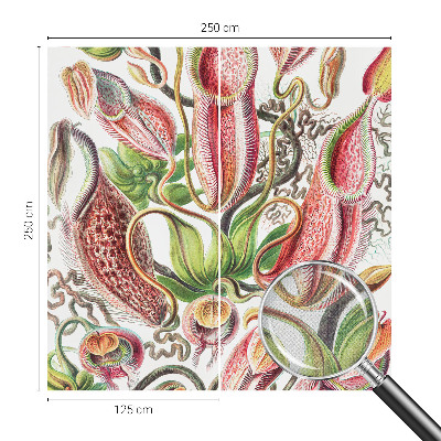 Fotografická tapeta samolepiaca Detaily rastliny