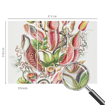 Fotografická tapeta samolepiaca Detaily rastliny