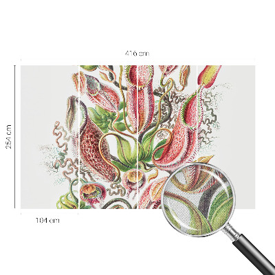 Fotografická tapeta samolepiaca Detaily rastliny