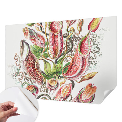 Fotografická tapeta samolepiaca Detaily rastliny